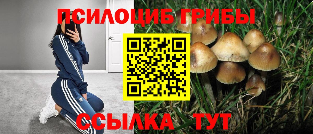 Артёмовский  Галлюциногенные грибы ЛСД  Вход с VPN 